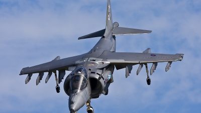 Photo ID 27491 by Joerg Amann. UK Navy British Aerospace Harrier GR 7A, ZD376
