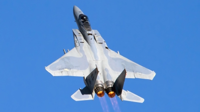 Photo ID 247332 by Niels Roman / VORTEX-images. USA Air Force McDonnell Douglas F 15C Eagle, 83 0019