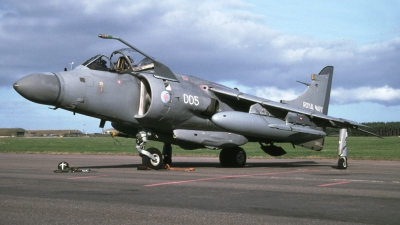 Photo ID 27856 by Tom Gibbons. UK Navy British Aerospace Sea Harrier FA 2, ZD613
