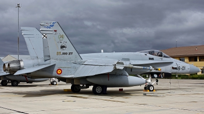 Photo ID 249218 by Fernando Sousa. Spain Air Force McDonnell Douglas F A 18A Hornet, C 15 73