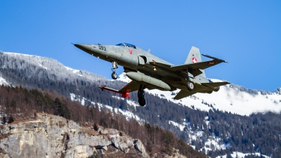 Photo ID 262146 by Agata Maria Weksej. Switzerland Air Force Northrop F 5E Tiger II, J 3093