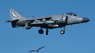 Photo ID 29302 by Lieuwe Hofstra. UK Navy British Aerospace Sea Harrier FA 2, ZD612