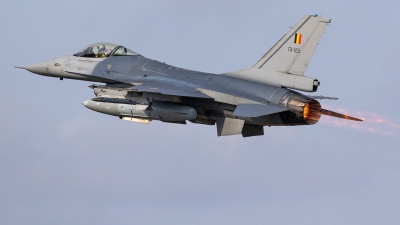 Photo ID 269073 by Mathias Grägel - GME-AirFoto. Belgium Air Force General Dynamics F 16AM Fighting Falcon, FA 123