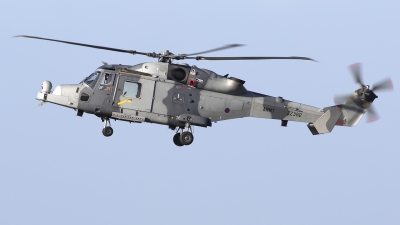 Photo ID 271535 by Chris Lofting. UK Army AgustaWestland Wildcat AH1, ZZ382