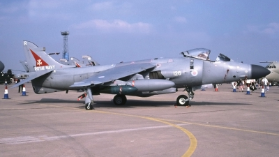 Photo ID 29988 by Tom Gibbons. UK Navy British Aerospace Sea Harrier FA 2, XZ459