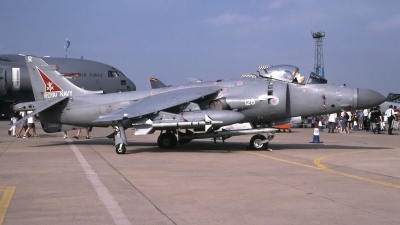 Photo ID 29992 by Tom Gibbons. UK Navy British Aerospace Sea Harrier FA 2, ZH803