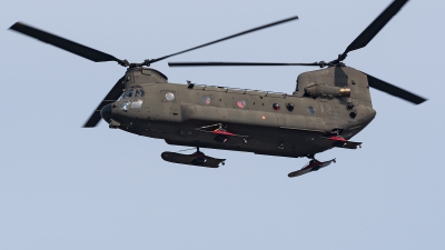 Photo ID 272859 by Varani Ennio. Italy Army Boeing Vertol CH 47F Chinook, MM81793