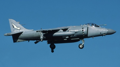 Photo ID 30262 by Lieuwe Hofstra. UK Navy British Aerospace Sea Harrier FA 2, ZD613