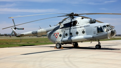 Photo ID 275191 by Carl Brent. Mexico Air Force Mil Mi 17 Hip, 1713