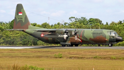 Photo ID 278359 by Eduardo Purba. Indonesia Air Force Lockheed C 130H 30 Hercules L 382, A 1319