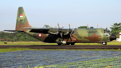 Photo ID 278679 by Eduardo Purba. Indonesia Air Force Lockheed C 130H 30 Hercules L 382, A 1321