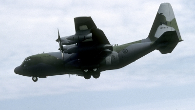 Photo ID 280631 by Joop de Groot. Canada Air Force Lockheed CC 130H Hercules L 382, 130338