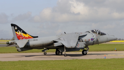 Photo ID 33071 by rinze de vries. UK Air Force British Aerospace Harrier GR 9, ZD410