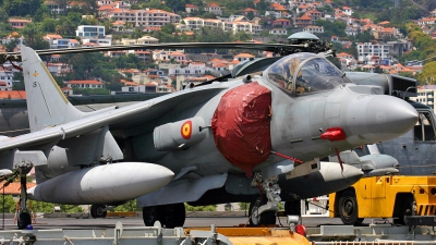 Photo ID 33775 by Rui Sousa. Spain Navy McDonnell Douglas EAV 8B Harrier II, VA 1B 37