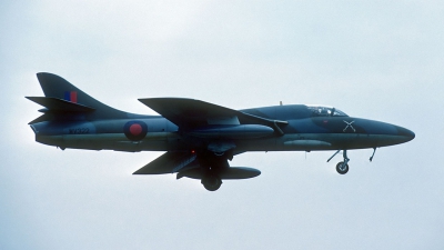 Photo ID 34795 by Eric Tammer. UK Air Force Hawker Hunter T8B, WV322