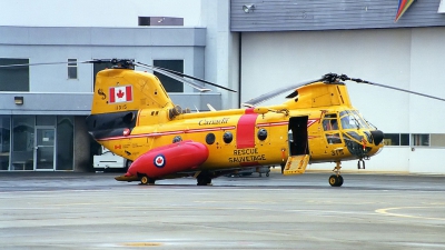 Photo ID 36634 by CHARLES OSTA. Canada Air Force Boeing Vertol CH 113A Sea Knight, 11315