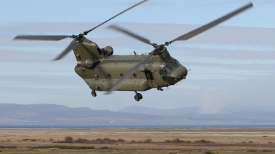 Photo ID 459 by Andy Walker. UK Air Force Boeing Vertol Chinook HC2 CH 47D, ZA705