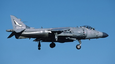 Photo ID 43839 by Lieuwe Hofstra. UK Navy British Aerospace Sea Harrier FA 2, ZE693