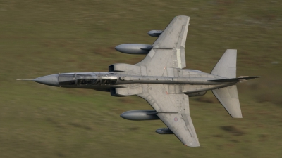 Photo ID 43889 by Tom Gibbons. UK Air Force Sepecat Jaguar T4, XX835