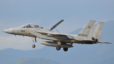 Photo ID 48698 by Peter Terlouw. Japan Air Force McDonnell Douglas F 15DJ Eagle, 82 8063