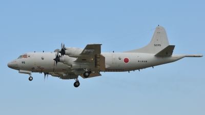 Photo ID 48854 by Peter Terlouw. Japan Navy Lockheed P 3C Orion, 5095