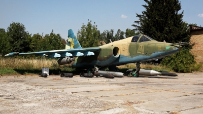 Photo ID 52456 by Carl Brent. Ukraine Air Force Sukhoi Su 25,  