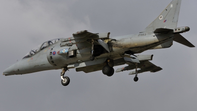 Photo ID 54788 by rinze de vries. UK Air Force British Aerospace Harrier T 12, ZH663