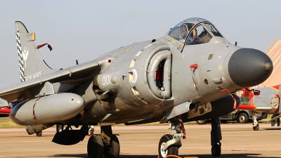 Photo ID 62269 by Rob Hendriks. UK Navy British Aerospace Sea Harrier FA 2, ZH796