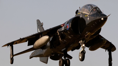 Photo ID 65479 by Liam Paul McBride. UK Navy British Aerospace Harrier T 8, ZD990