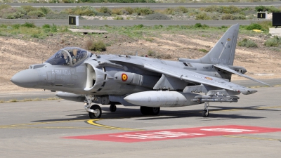 Photo ID 67689 by Bart Hoekstra. Spain Navy McDonnell Douglas AV 8B Harrier ll, VA 1B 29