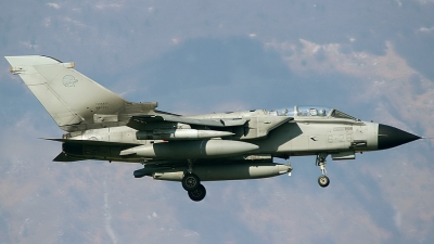 Photo ID 8531 by Giorgio Pitteri. Italy Air Force Panavia Tornado IDS, MM7016