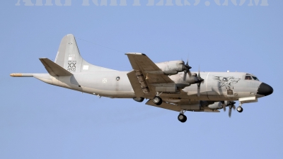 Photo ID 9301 by Stephen J Muscat. Portugal Air Force Lockheed P 3P Orion, 14803