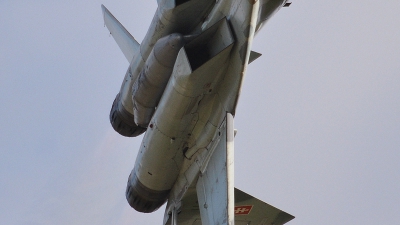 Photo ID 78970 by Martin Thoeni - Powerplanes. Slovakia Air Force Mikoyan Gurevich MiG 29AS, 3911