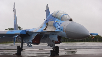Photo ID 78987 by rob martaré. Ukraine Air Force Sukhoi Su 27UB,  