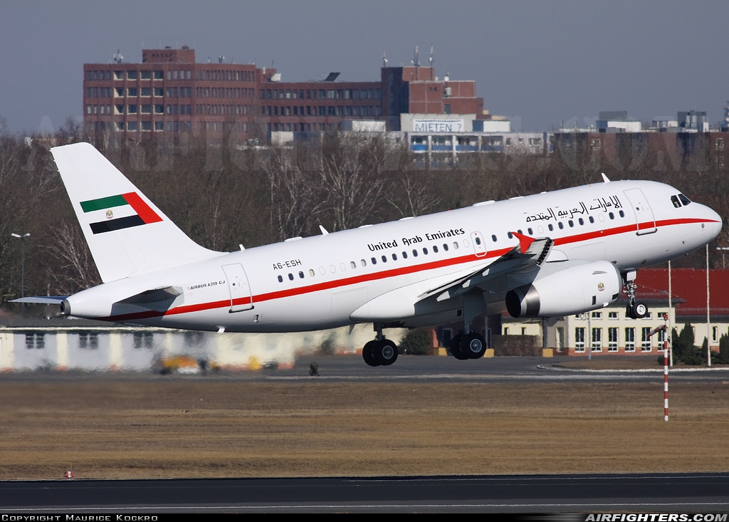 United Arab Emirates Airbus A319-133X CJ A6-ESH at Berlin - Tegel (TXL / EDDT), Germany