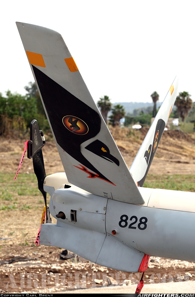 Israel - Air Force Elbit Systems Hermes 450 828 at Ramat David (LLRD), Israel
