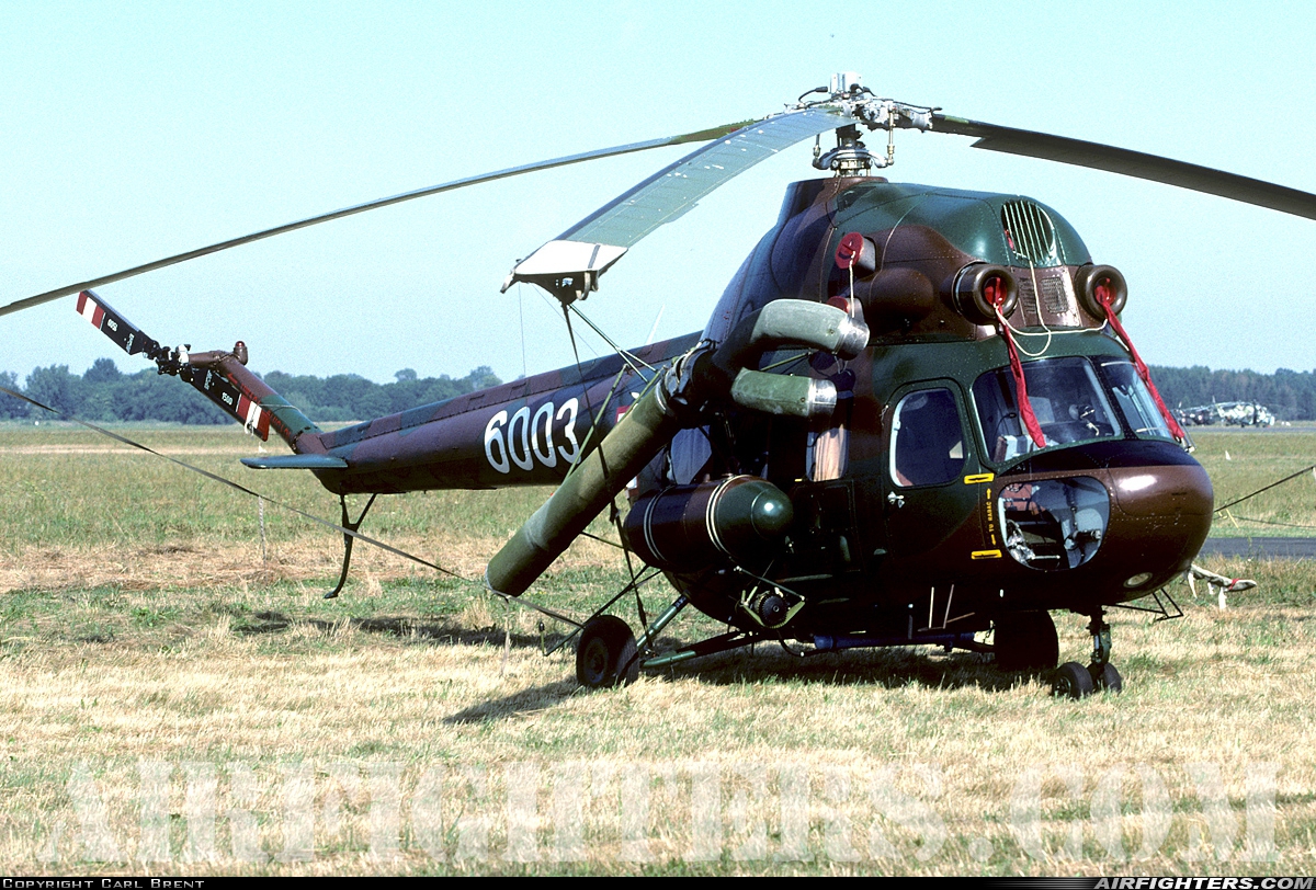 Poland - Army Mil Mi-2Ch 6003 at Pruszcz Gdanski (EPPR), Poland