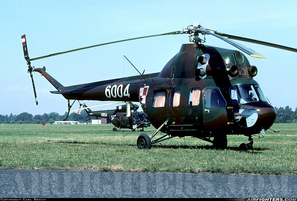 Poland - Army Mil Mi-2Ch 6004 at Pruszcz Gdanski (EPPR), Poland