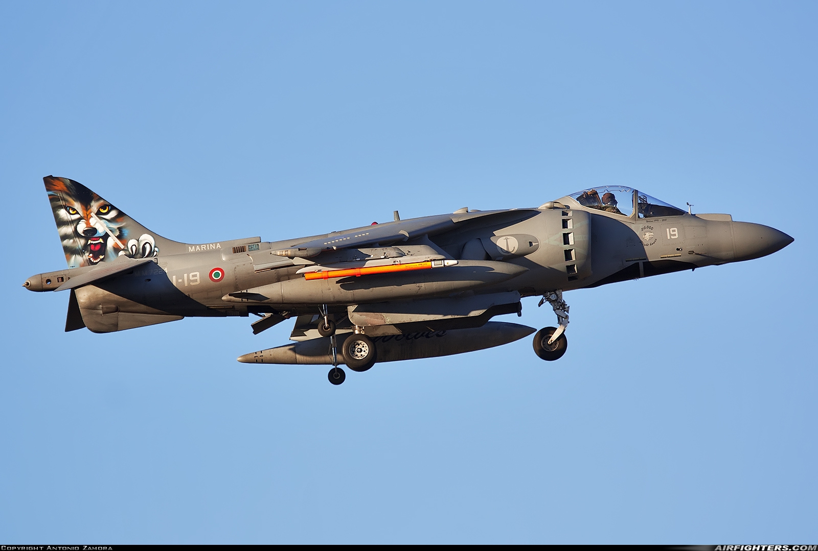 Italy - Navy McDonnell Douglas AV-8B+ Harrier ll MM7224 at Albacete (- Los Llanos) (LEAB), Spain