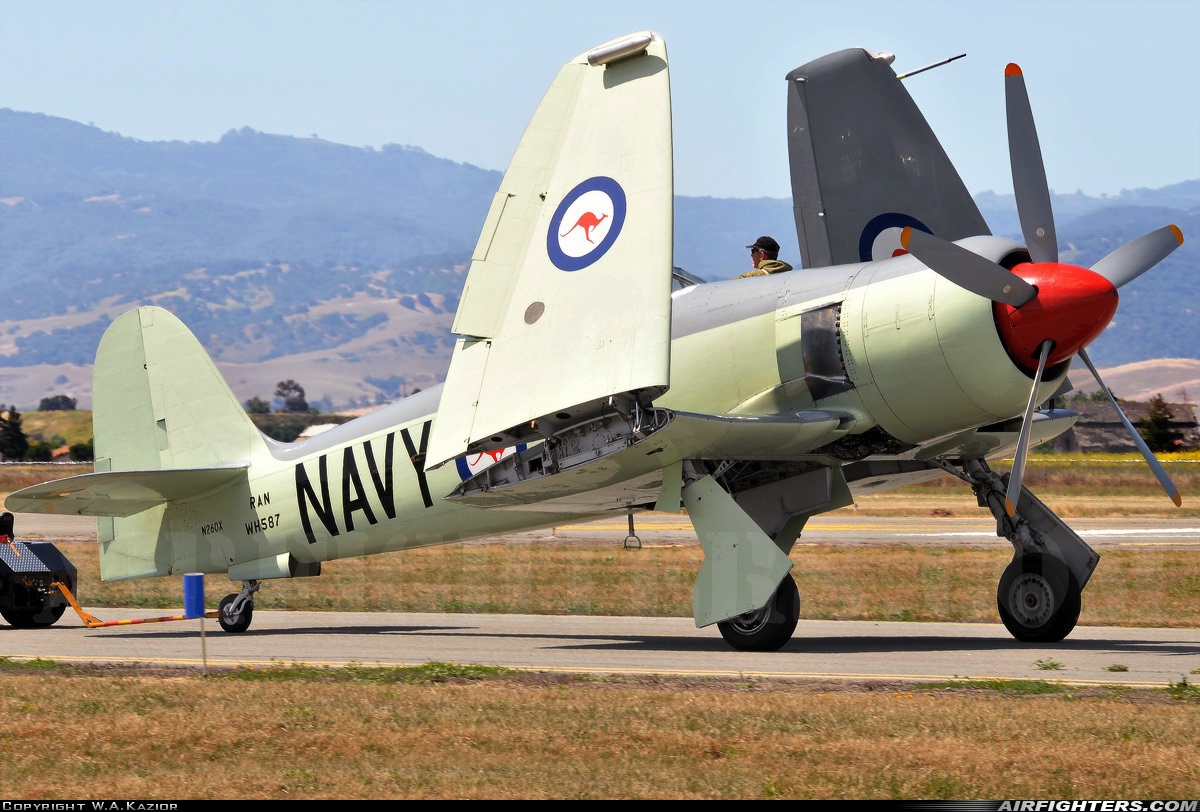 Private Hawker Sea Fury FB11 N260X at Hollister Municipal Airport (HLI / KCVH), USA