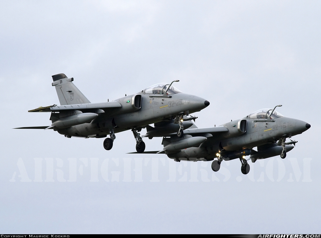Italy - Air Force AMX International AMX MM7163 at Holzdorf (ETSH), Germany