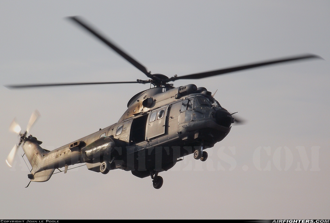 Netherlands - Air Force Aerospatiale AS-532U2 Cougar MkII S-445 at Off-Airport - Oirschotse Heide (GLV5), Netherlands