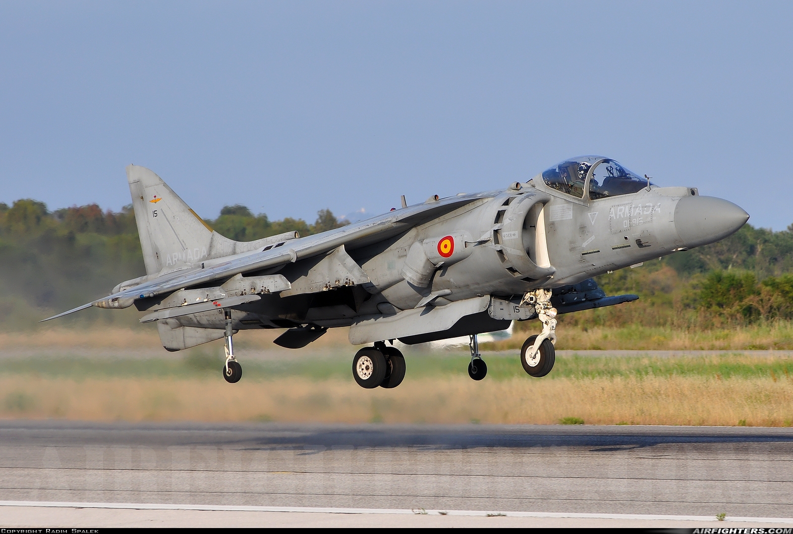 Spain - Navy McDonnell Douglas EAV-8B+ Harrier II VA.1B-25 at Hyeres (TLN / LFTH), France