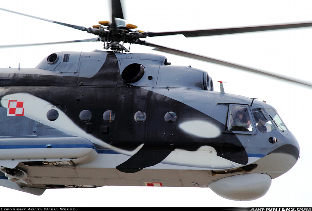 Poland - Navy Mil Mi-14PL 1001 at Off-Airport - Plock, Poland
