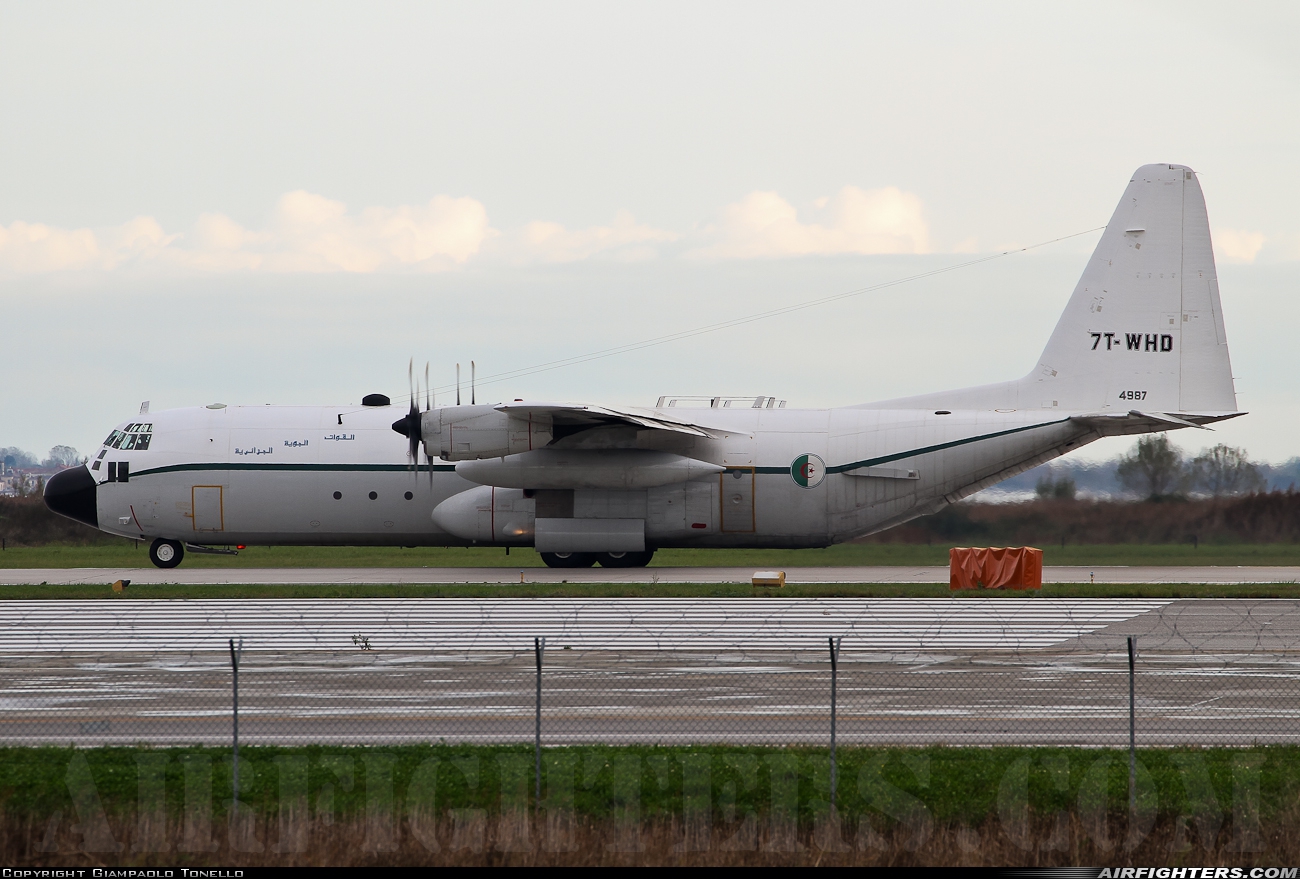 Algeria - Air Force Lockheed C-130H-30 Hercules (L-382) 7T-WHD at Venice - Tessera (Marco Polo) (VCE / LIPZ), Italy