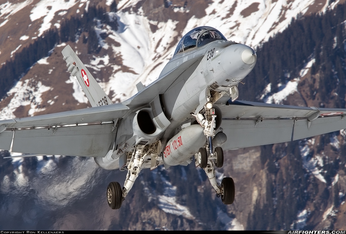 Switzerland - Air Force McDonnell Douglas F/A-18D Hornet J-5238 at Meiringen (LSMM), Switzerland