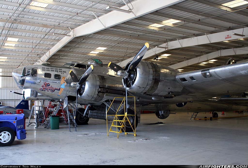 Private - Commemorative Air Force Boeing B-17G Flying Fortress (299P) N9323Z at Mesa - Falcon Field (MSC / FFZ), USA