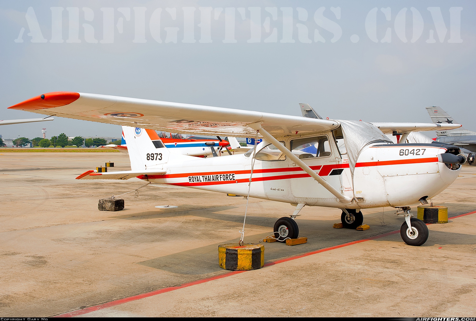 Thailand - Air Force Cessna T-41D Mescalero F14-8/11 at Bangkok - Int. (Don Muang) (DMK / VTBD), Thailand