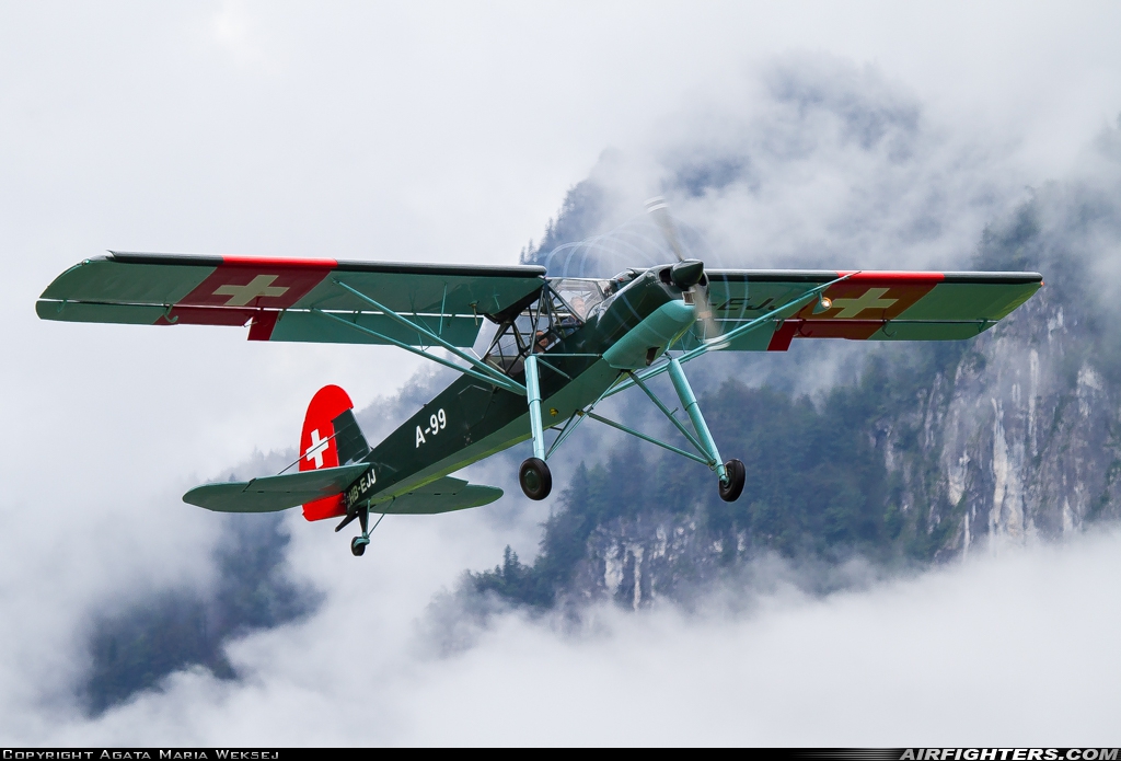 Private - Freunde des Fieseler Storch Morane-Saulnier MS.505 Criquet HB-EJJ at Mollis (LSMF), Switzerland