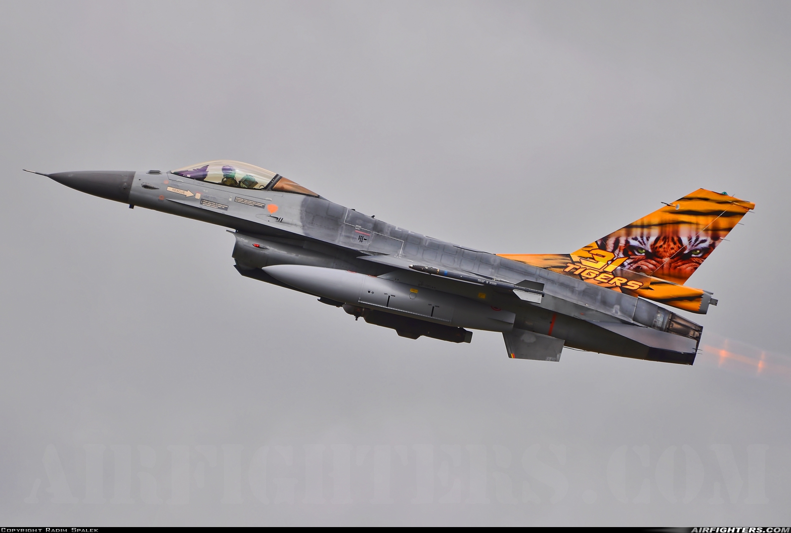 Belgium - Air Force General Dynamics F-16AM Fighting Falcon FA-106 at Schleswig (- Jagel) (WBG / ETNS), Germany